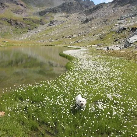 아파트호텔 Maison Fosson 샴폴루크