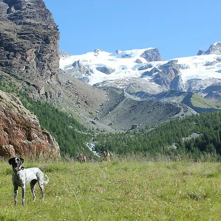 Maison Fosson Champoluc