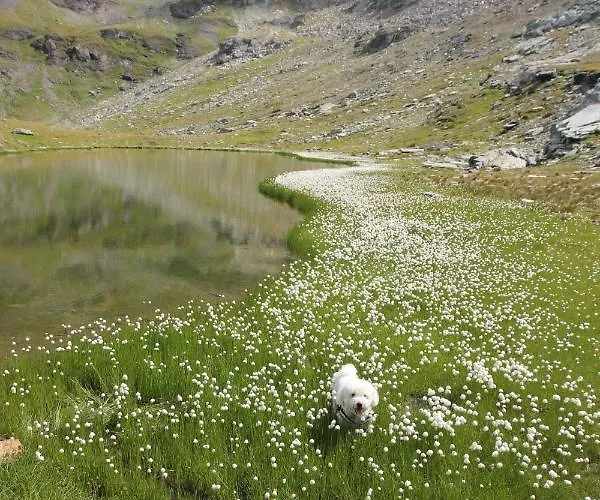 Aparthotel Maison Fosson Champoluc